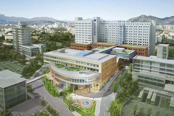HỆ D2 CHUYÊN NGÀNH – TRƯỜNG ĐẠI HỌC YEUNGNAM